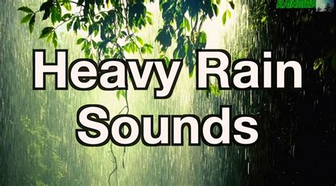 "Rain" 12 hours of "Rain Sounds" "Sleep Sounds" 12hrs Rainfall - YouTube