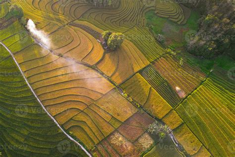 natural landscape of terraced rice terraces in Indonesia 24976296 Stock Photo at Vecteezy