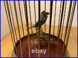 Mechanical Singing Bird Cage Brass | Music Boxes