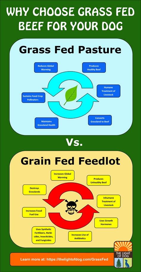 Surprising (and a little shocking) data and research conclusions about the benefits of grass fed ...