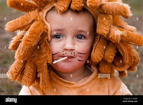 Lion costume hi-res stock photography and images - Alamy
