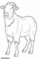 Boer Goat Happy coloring page sketch template