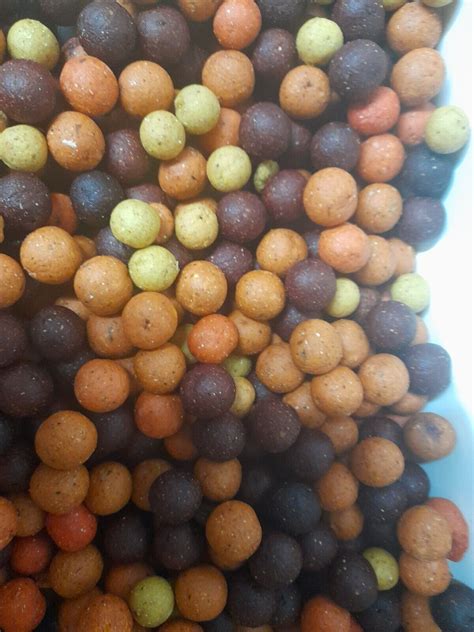 carp fishing bait 5kg boilies mixed flavors and sizes | eBay