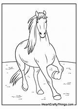Realistic Horse Coloring Pages Updated 2021 sketch template