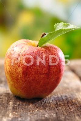 Ripe red apple with water droplets Stock Photos #AD ,#apple#red#Ripe#water | Red apple, Water ...