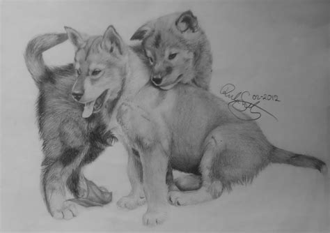 Wolfpuppies by Devions on DeviantArt