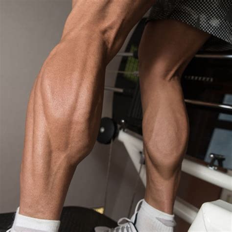 What is a calf raise machine? – Gym Gear Direct