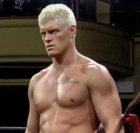 Pin by Jamie Saylor on Cody Rhodes | Cody rhodes, Cody, Njpw