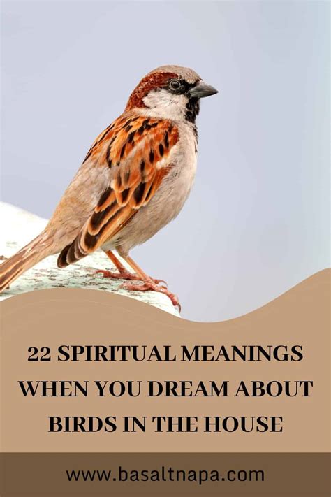 22 Spiritual Meanings When You Dream About Birds In The House