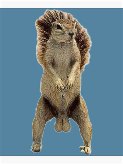 "Deez Nuts Squirrel " Poster for Sale by Max-Redshop | Redbubble