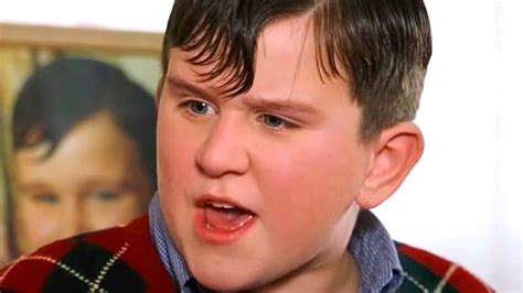 Harry Potter Quiz: Did Dudley Dursley Say It?