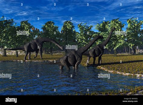 Computer Generated Image Of Brachiosaurus Dinosaurs Walking Stock Photo ...