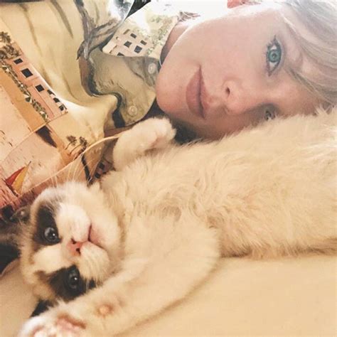 Upbeat News - Taylor Swift's Cats Are The Most Googled Celebrity Pets ...