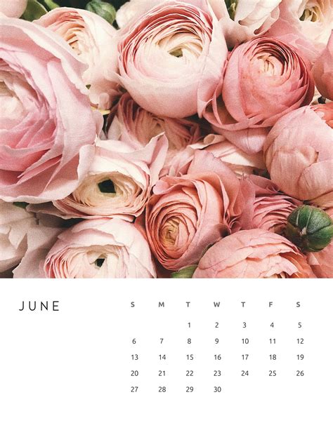 Free Printable June 2021 Floral Calendars | Calendar printables, Print calendar, Free printables