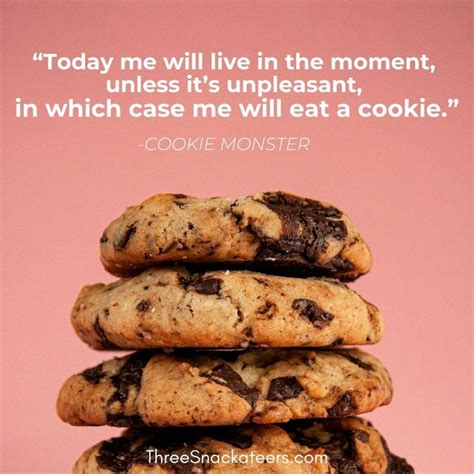 75 Cookie Monster Quotes & Captions - The Three Snackateers