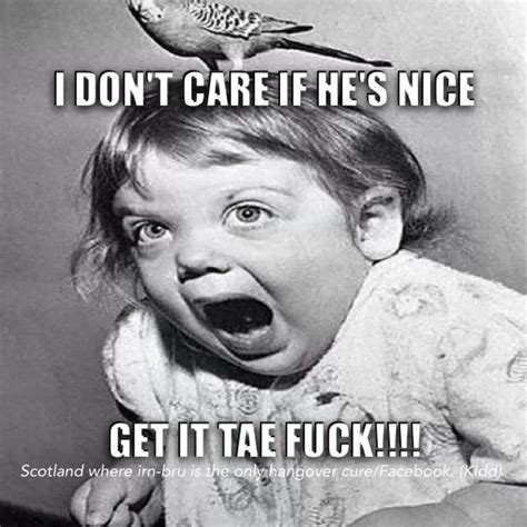 Scottish banter | Funny quotes, Scottish words, Humour