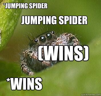 Misunderstood Spider memes | quickmeme