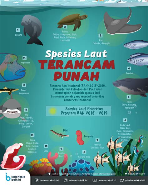 Spesies Laut Terancam Punah | Indonesia Baik