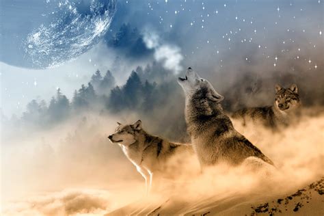 Download Fantasy Moon Animal Wolf HD Wallpaper by InspiredImages