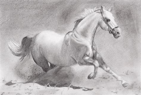 running horse sketch by russiawantsvodka on DeviantArt