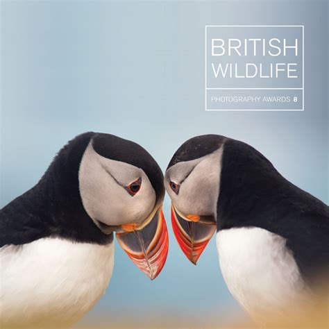 British Wildlife Photography Awards 8 - GiftsToMe