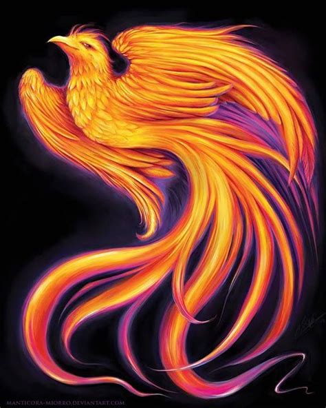 Phoenix tattoo, Phoenix bird, Phoenix artwork