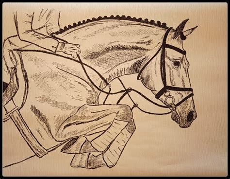 Drawing | Horse drawings, Horse clip art, Horse sketch