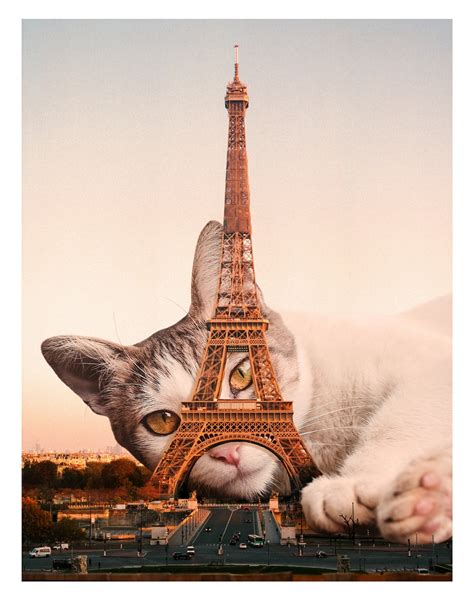 Paris Cat Art Print Eiffel Tower Print Paris Wall Art Cat | Etsy