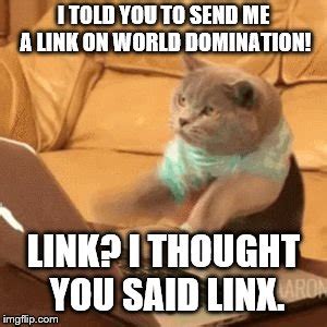 Typing cat meme - Imgflip