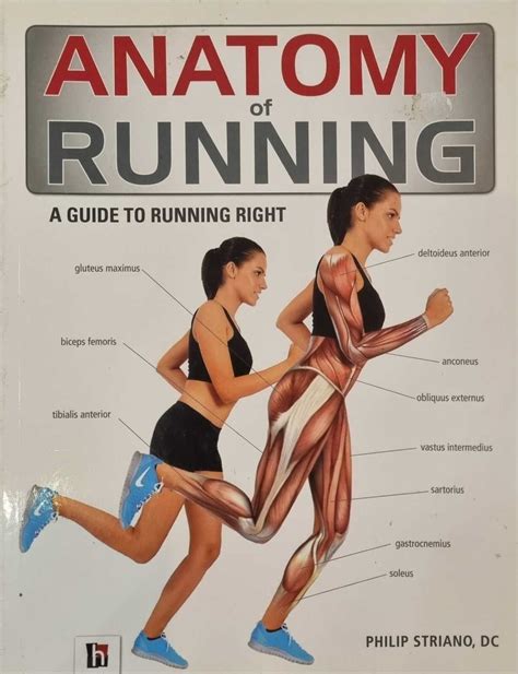 Anatomy of Running