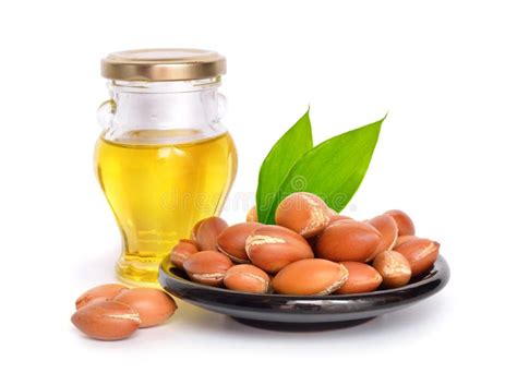 Argan Seed with Oil. Isolated. Stock Photo - Image of africa, care: 90982568