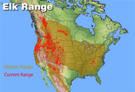 Tennessee Elk Hunting Zone Map