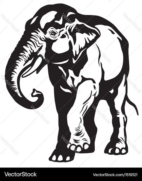 Asian elephant black white Royalty Free Vector Image