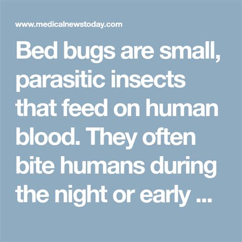 Bed bug bites: Pictures, treatment, and prevention (With images) | Bed bug bites, Bed bugs ...