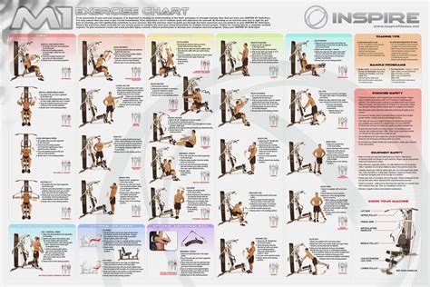 Total Gym Chart Marcy Workout Chart Weider 2980 Exercise Chart Weider Bodyworks Pro Exercise ...