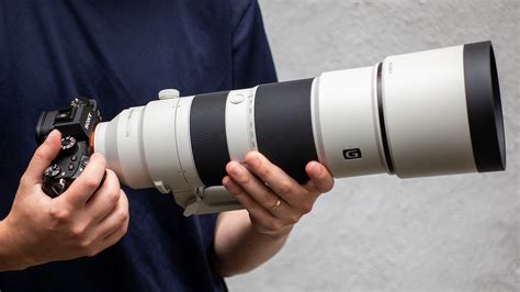 A Weekend with the Sony 200-600mm and 600mm Lenses | B&H eXplora