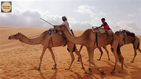 الجمال في الصحراء , صور جمال فى الصحراء الرائعه - طريقة