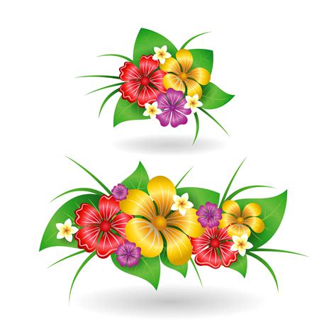 Tropical flowers decor elements 428802 Vector Art at Vecteezy