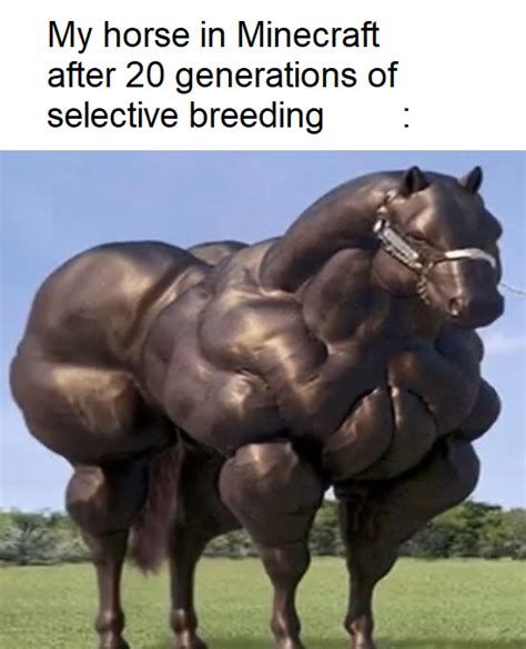 Minecraft horse breeding belike : r/memes