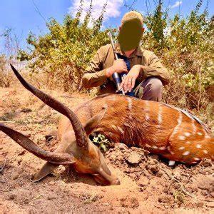 Bushbuck Hunt Zambia | AfricaHunting.com