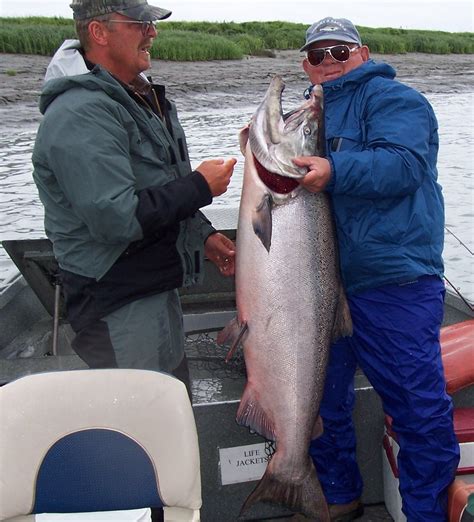 Alaska King Salmon | Alaska Halibut Fishing Charter