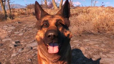 The Untold Truth Of Fallout 4's Dogmeat Model