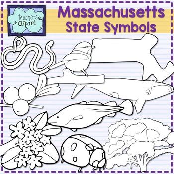 Massachusetts state symbols clipart by Teacher's Clipart | TpT