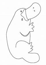 Coloring Pages Platypus Printable For Kids & Adults Free sketch template