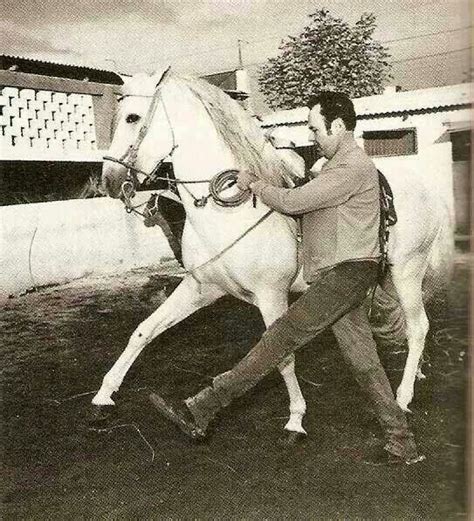 Antonio Aguilar he always had the most beautiful horses | Cine de oro ...