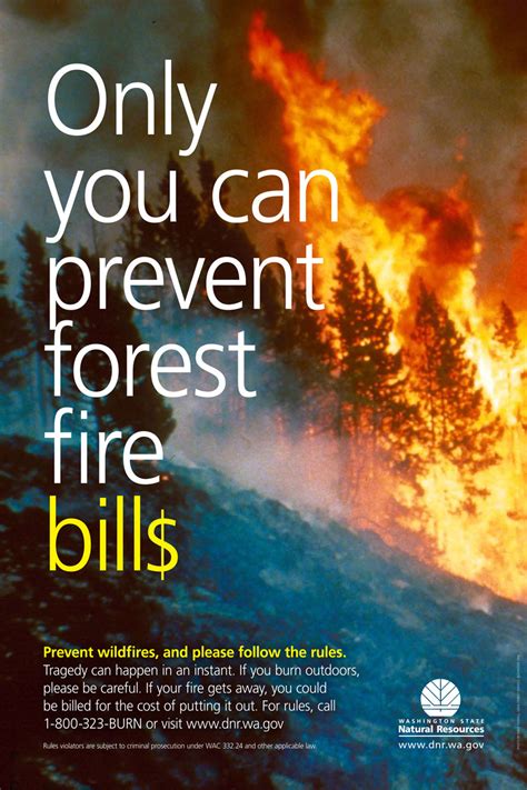 Wildfire Prevention Posters on Pantone Canvas Gallery
