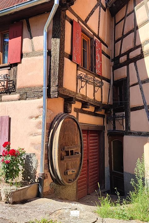 Alsace Wine Route: The Complete Guide