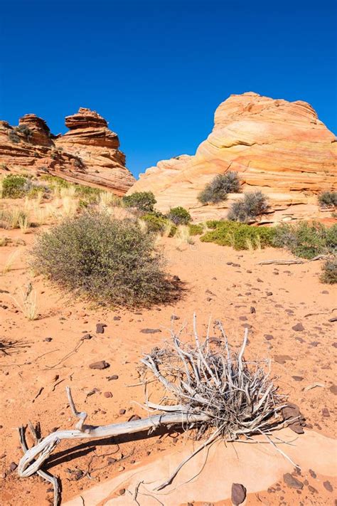 Coyote Buttes South stock image. Image of geology, exploration - 211530045