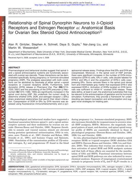 (PDF) Relationship of Spinal Dynorphin Neurons to δ-Opioid Receptors and Estrogen Receptor α ...