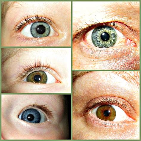 mixed green eyes with hazel = 3 kids will completely different eye colors. genetics are so ...